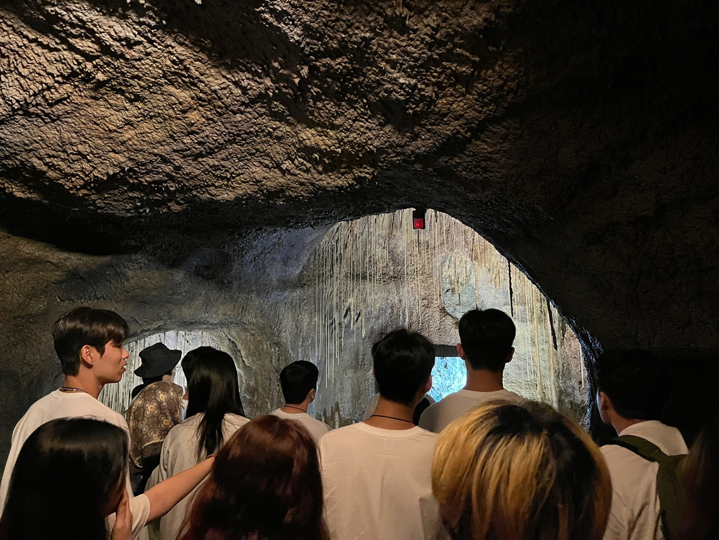 제주세계자연유산센터 (8).jpg